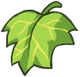 Health Leaf