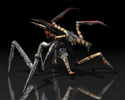 Arachnid Warrior  Warrior Bug from Starship Troopers Fun fa