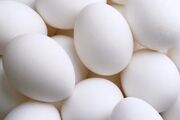 White Chicken Eggs