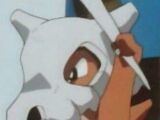 Cubone