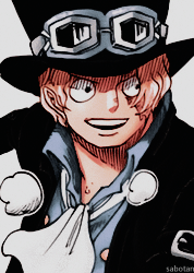 Quando Sabo chegou a Dressrosa? – Comentários Wiki  Fonte nº 1 para  informações, testes, crônicas, opiniões e notícias