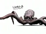 Lusca