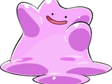 Ditto