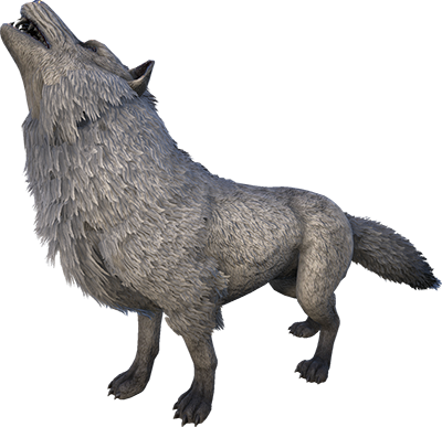 Wolf Drawing png download - 1024*676 - Free Transparent Ark Survival  Evolved png Download. - CleanPNG / KissPNG