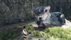 Trico💜💙💜, Wiki