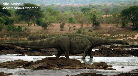 Mokele Mbembe — Africa's Last Dinosaur?