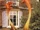 Triffid