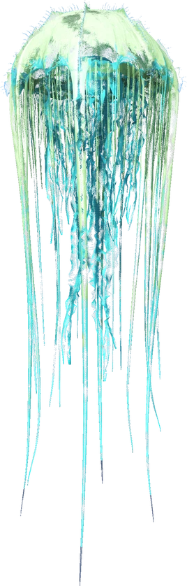 Cnidariaark
