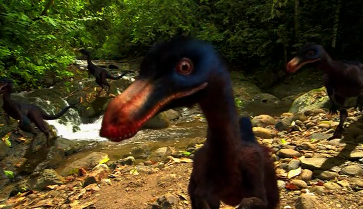 Elopteryx violaceus | Fiction Taxonomy Wiki | Fandom