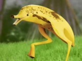 Bananostrich