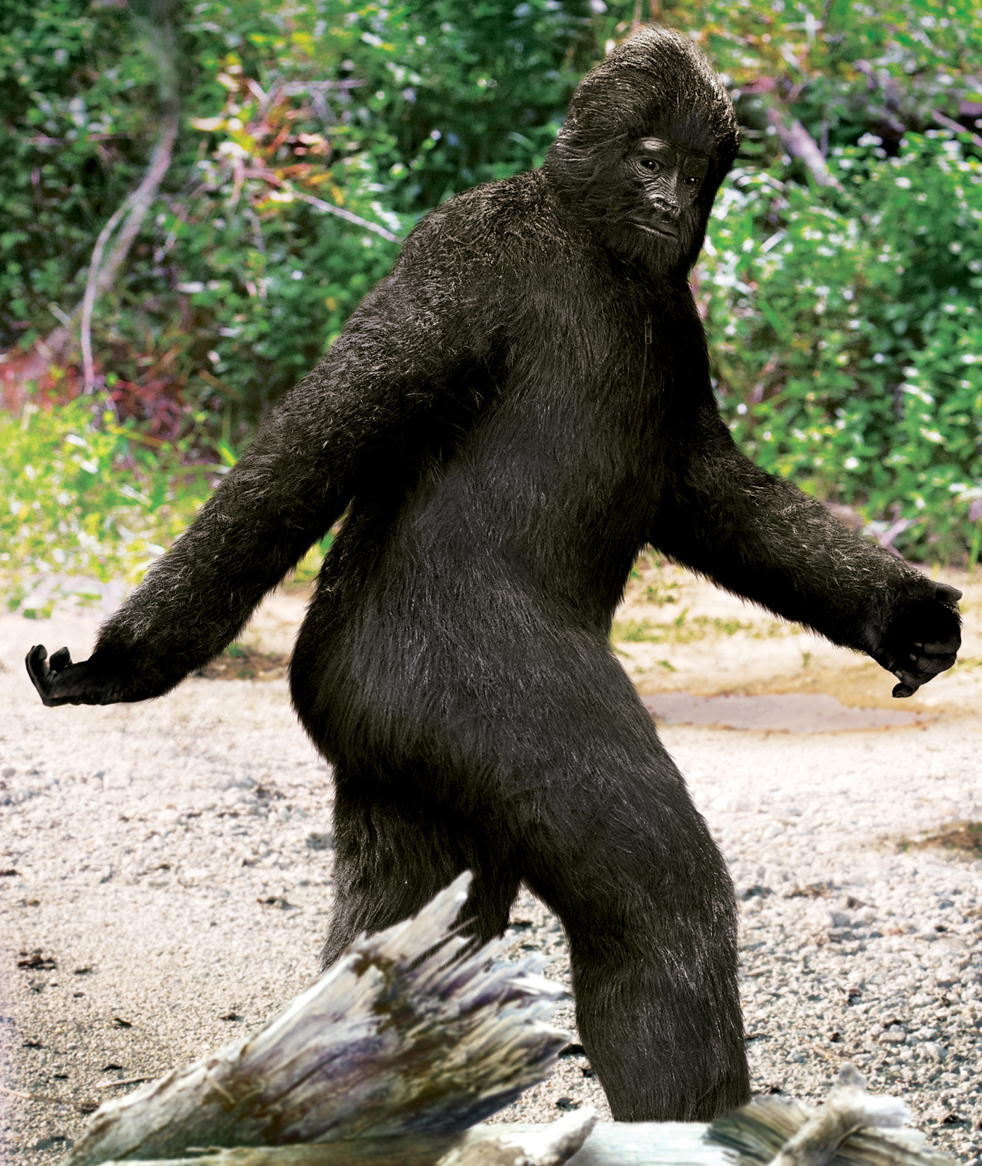 Bigfoot - Wikipedia