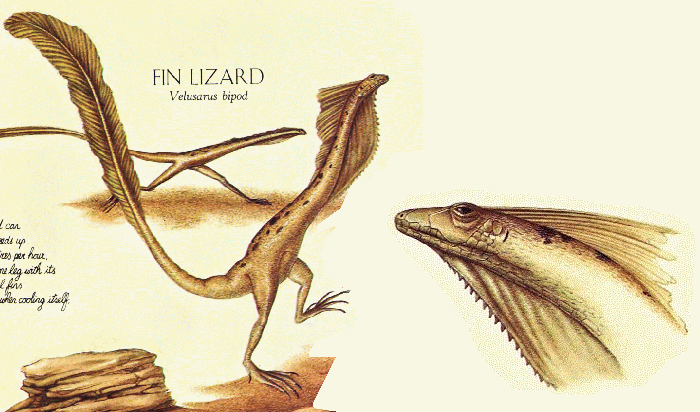 ウェア Fin-ch Floreana5-LIZARD Fin lizard | Fiction Taxonomy Wiki | Fandom