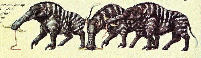 Turmi | Fiction Taxonomy Wiki | Fandom