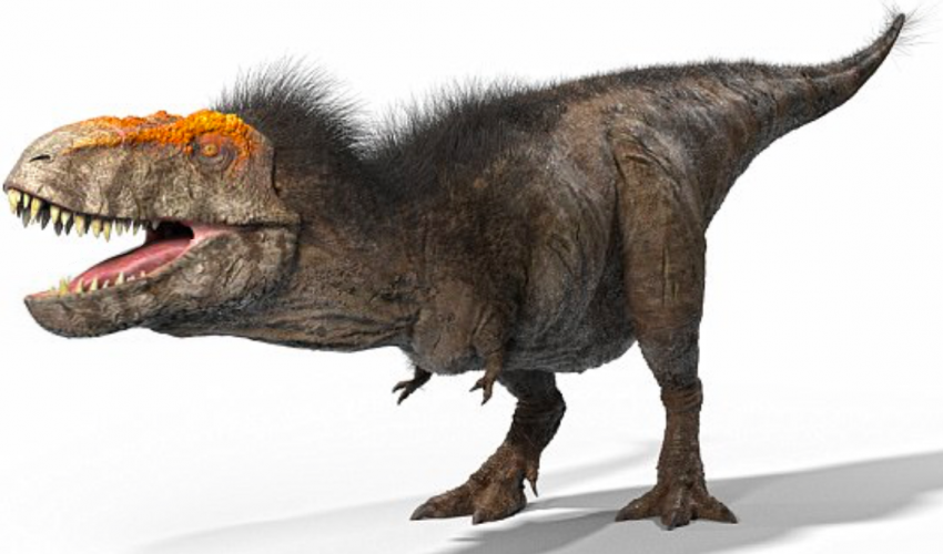 Как выглядели динозавры на самом деле Albertosaurus, the original "terror bird."  Prehistoric animals