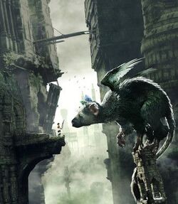 Trico💜💙💜, Wiki