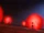 Glowing snail