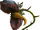 Deku baba