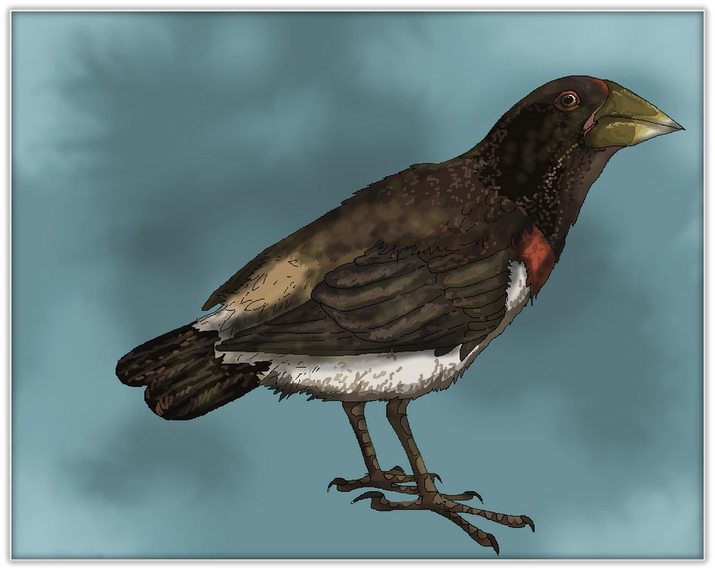 CategoryFamily Fringillidae Fiction Taxonomy Wiki Fandom