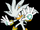 Silver the Hedgehog