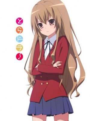 Toradora English Dubbed  Episode 3  Bilibili