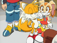01tails x