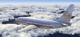 Screen Shot 2015-07-03 at 7.36.01 PM.png (657 KB) Ajira Boeing 737 In flight