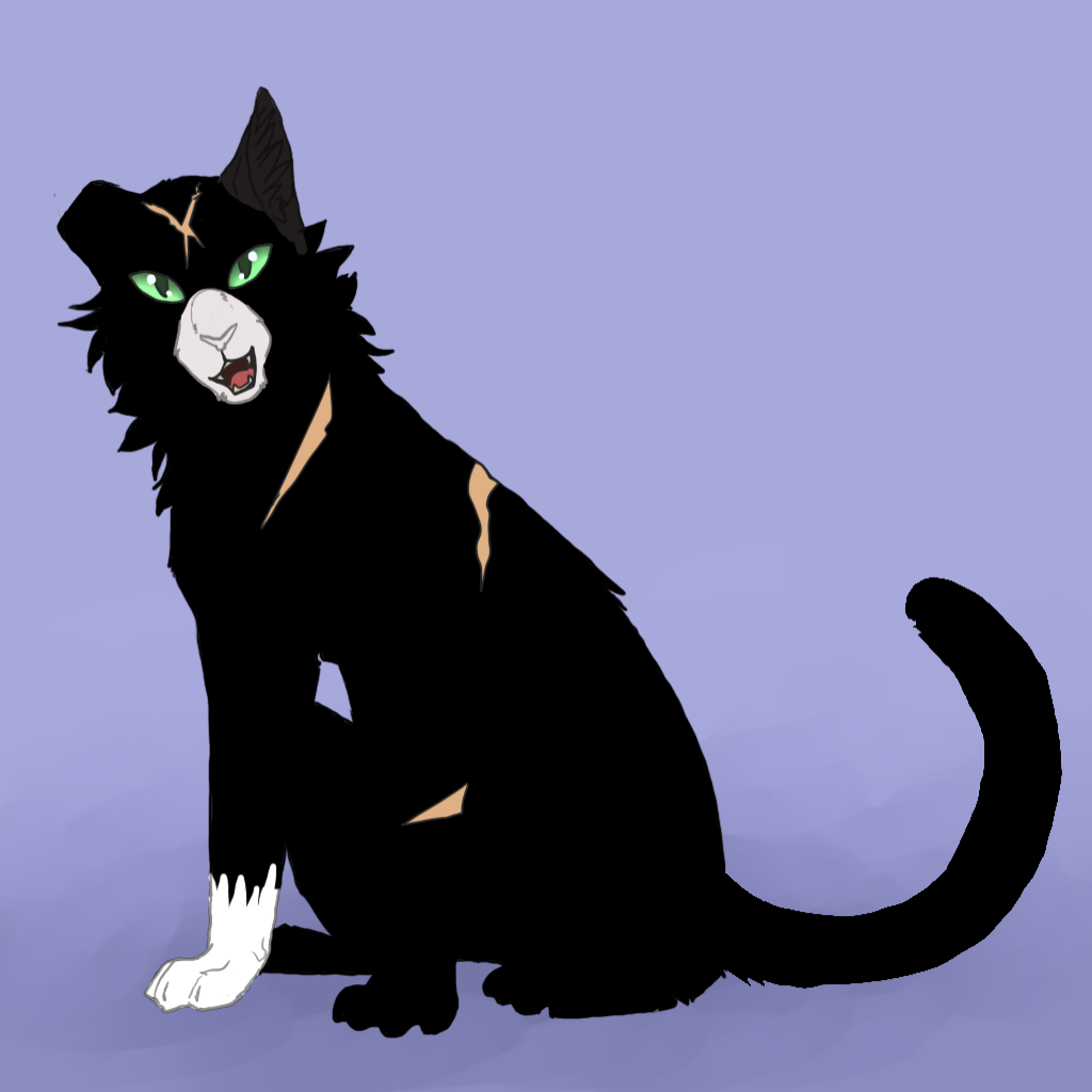 Коты воители