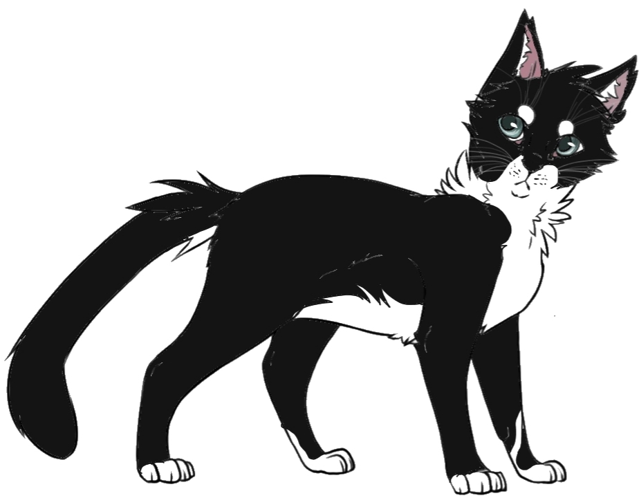 коты-воители от акира. коты воители остролиста. коты воители виалир. коты воители чёрный кот. коты воители чёрногривка.