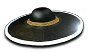 KungsHat.png