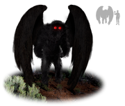 Mothman 