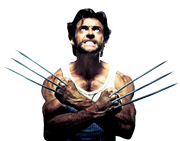 Wolverine