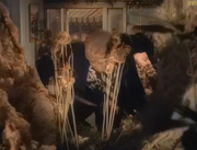 Mushnik's Florist - The Death of Seymour - 1960 film