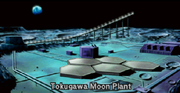 Tokugawa Moon Plant