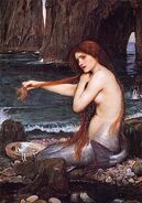 Waterhouse a mermaid