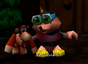 Banjo-Tooie Googles