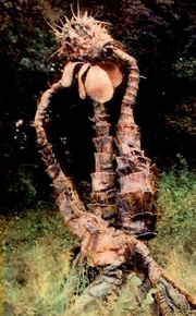 Triffid