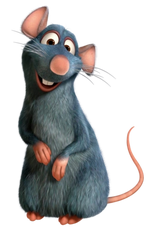 Remy