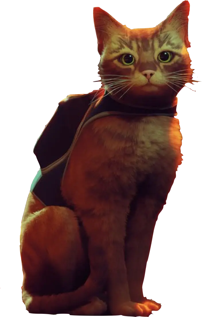 STRAY☆CATです。 Stray | Crossover Wiki | Fandom