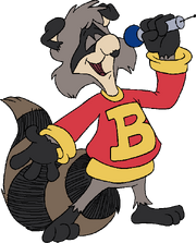 Bert Raccoon