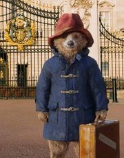Paddington