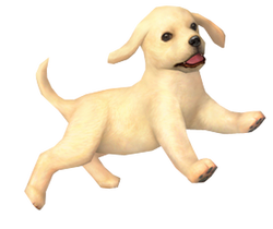 Nintendog
