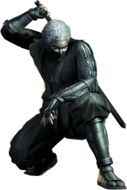 Rikimaru, the protagonist of the series.