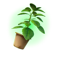 Green Herb Back Bling