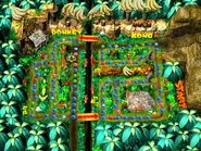 DK's Jungle Adventure board.