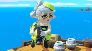 Marie Outfit and Marie Wig