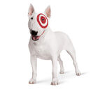 A Target Dog