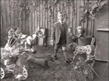 Future Generations intro garden