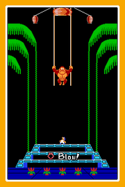 WWTo Microgame DonkeyKong3