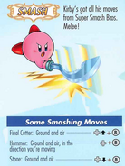 Smash copy ability from the game's instruction manual