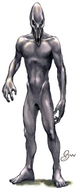 Bodak | Fictional Races Wiki | Fandom